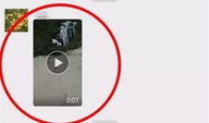 微信群视频,一窥生活百态