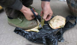 甲鱼宰杀视频,传统烹饪技艺的传承与反思