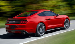 野马视频,探寻狂野之美，捕捉自然瞬间